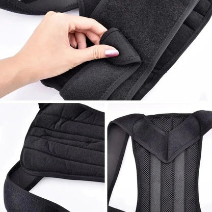 Zayyanun ®Body  Posture   Belt