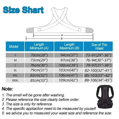 Zayyanun ®Body  Posture   Belt
