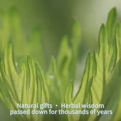 Zayyanun®Knee Pain Relief Patches